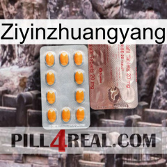 Ziyinzhuangyang new13